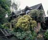 The family home, adorned with the rose Souvenir de Mme Leonie Viennot