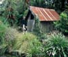 Owner, Valda, family dog Del, in front of rustic woodshed.