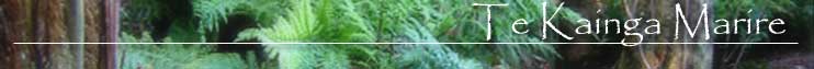 Fern Garden