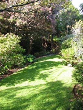 River side walkway