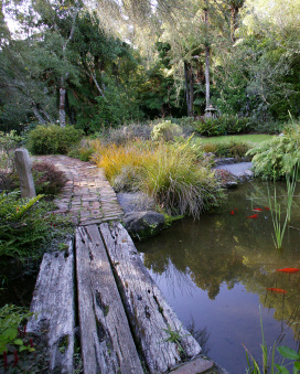 Bridge over pond