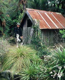 Valda by the shed